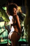 Luna Corazon - Chatte exotique